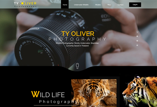 Web Design Portfolio 14