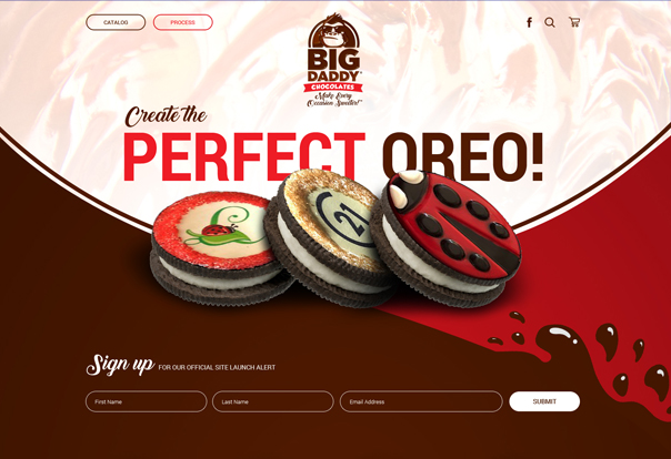 Web Design Portfolio 2